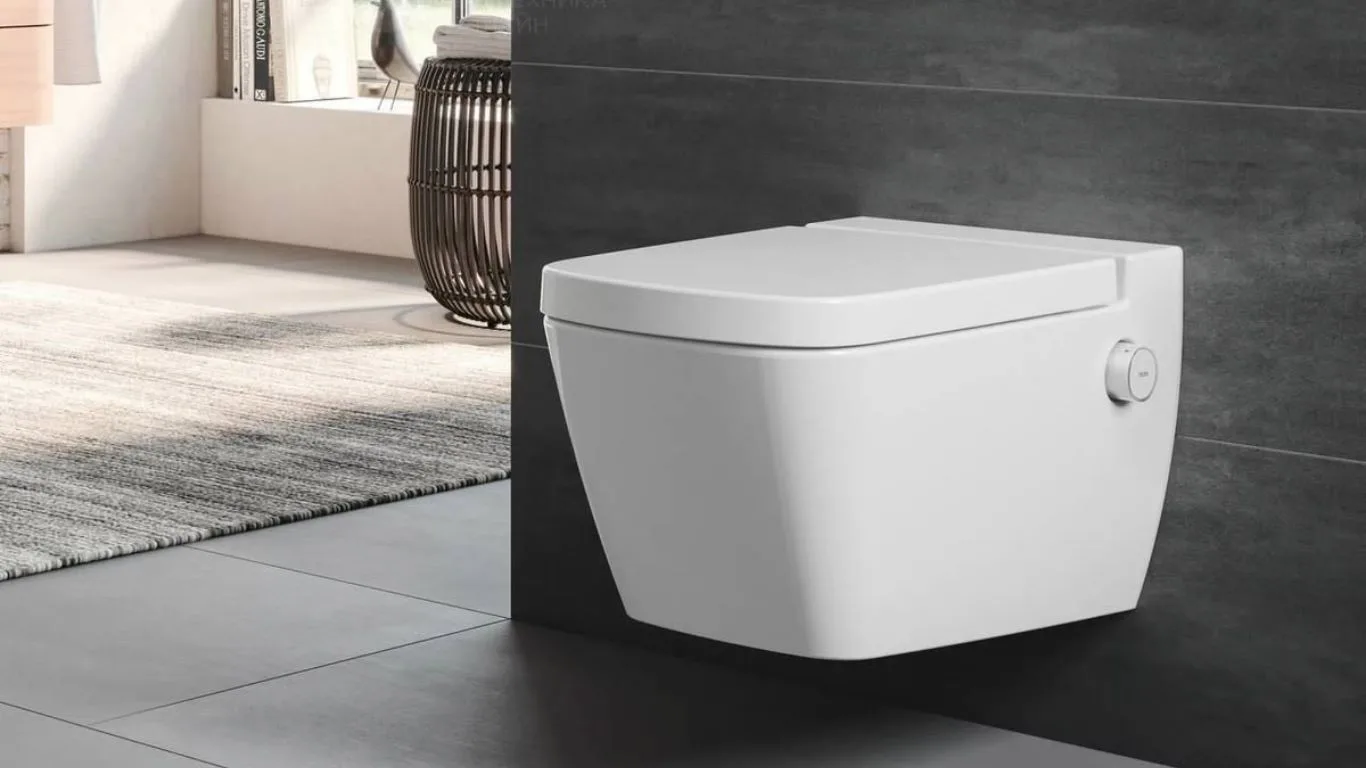 wall-hung toilet problems how to fix them